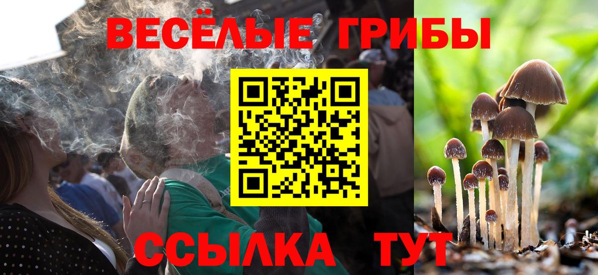 Избербаш  Псилоцибиновые грибы мицелий  Вход с VPN 