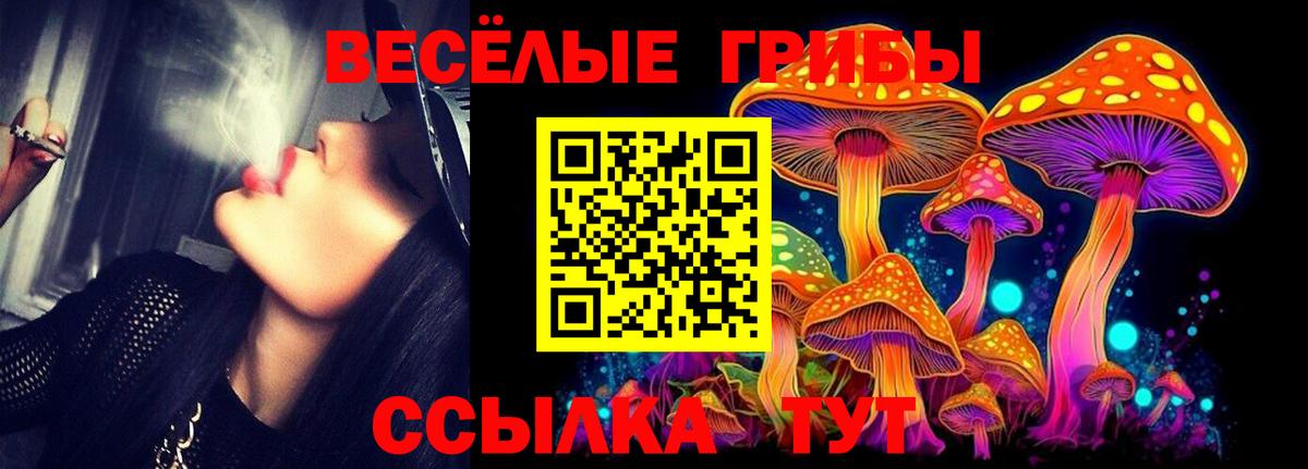 Галлюциногенные грибы мицелий Избербаш